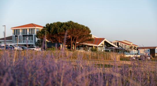Séjour évasion La Grande Terrasse - MGallery, Spa NUXE, Bistrot